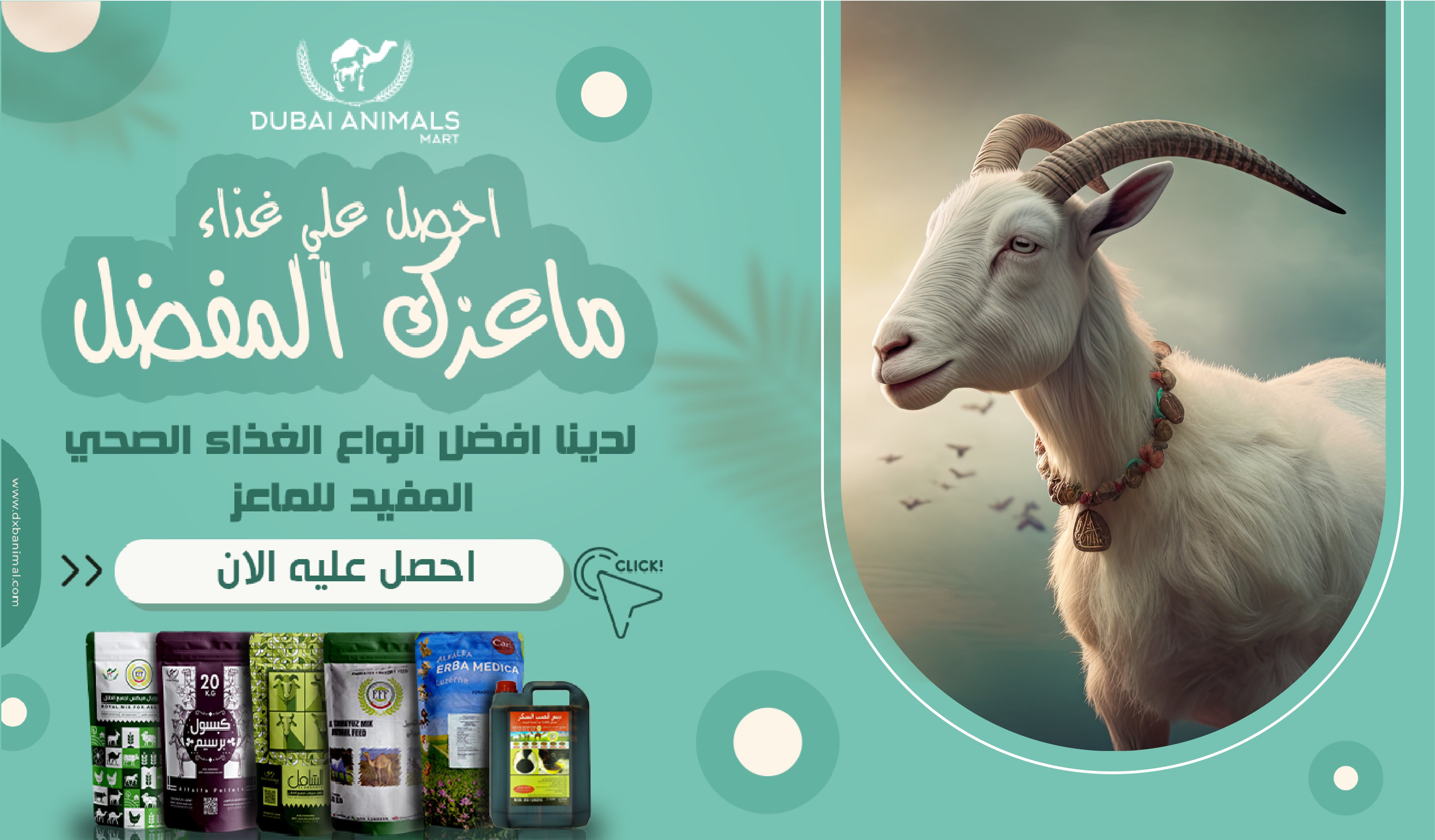 Dubai Animal Mart