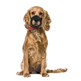 Flamingo Teddie Mesh Dog Muzzle