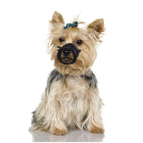 Flamingo Teddie Mesh Dog Muzzle