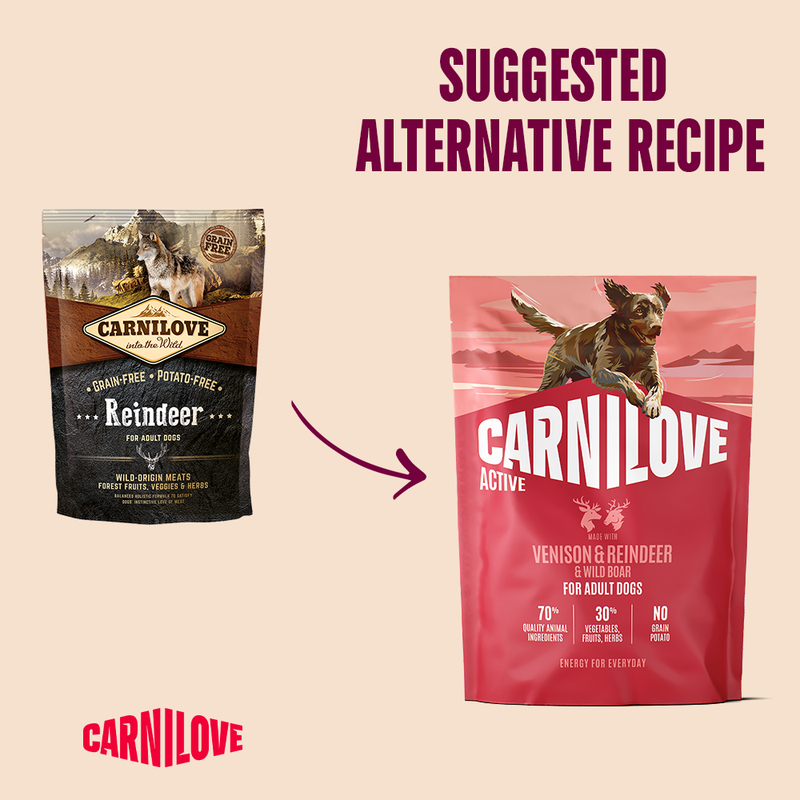 Carnilove Active Venison & Reindeer & Wild Boar for Adult All Breeds Dry Dog Food