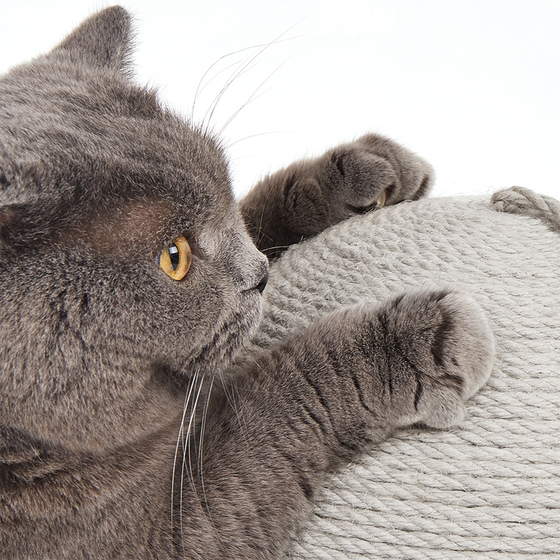 FOFOS Ball Cat Scratcher