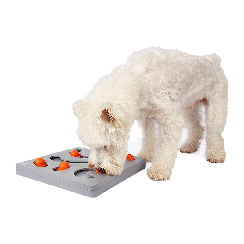FOFOS Brain Game Treat Puzzle Dog Toy