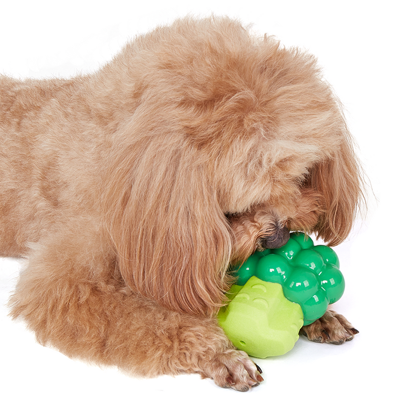 FOFOS Broccoli Giggling Vegi-Bites Dog Toy