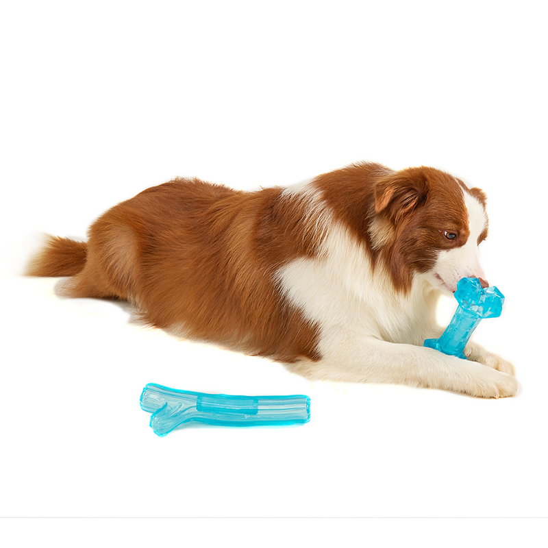 FOFOS Chill & Chew Cooling Bone Dog Toy