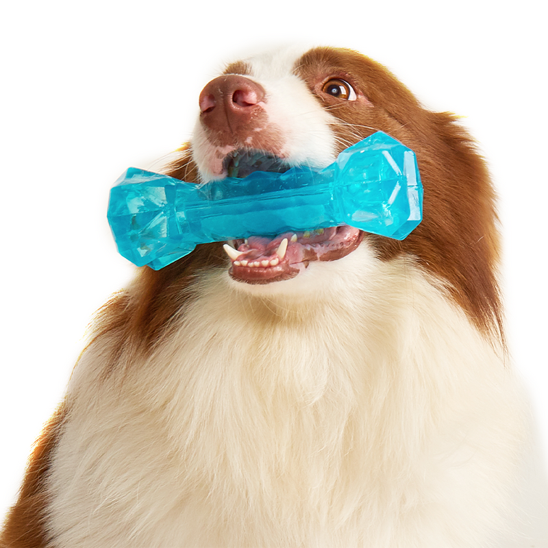 FOFOS Chill & Chew Cooling Bone Dog Toy