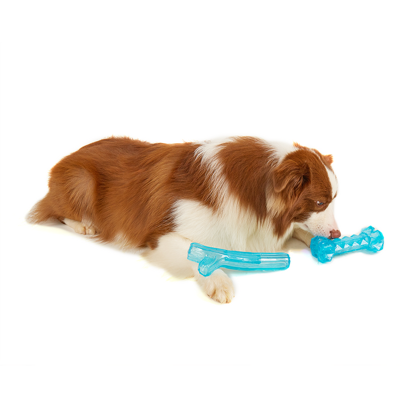 FOFOS Chill & Chew Cooling Branch Dog Toy