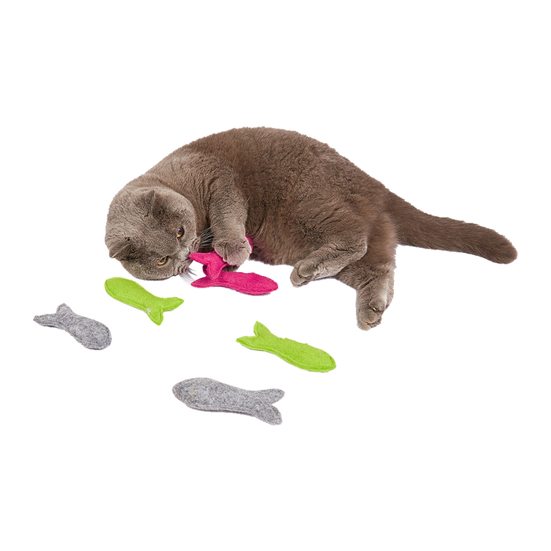 FOFOS Felt Fish Assorted Display Box 24pcs