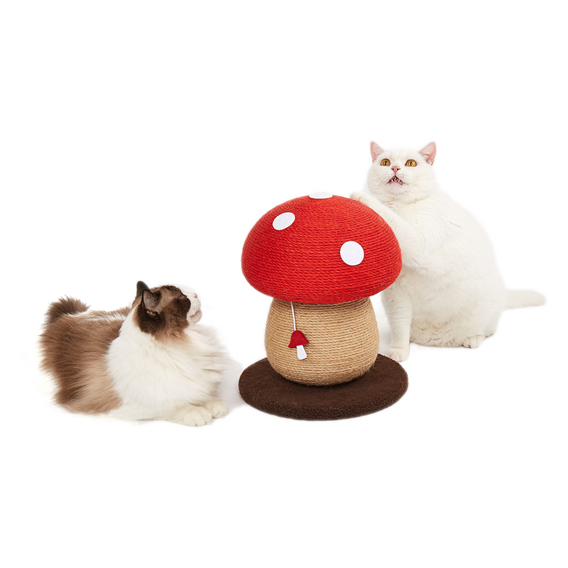 FOFOS Mushroom Cat Scratcher