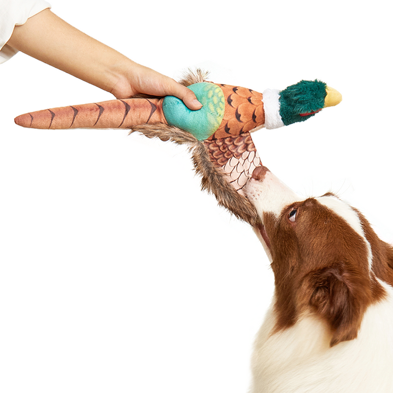 FOFOS Pheasant Plush Dog Toy
