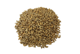 Whole Grain Barley - For Animal Feed