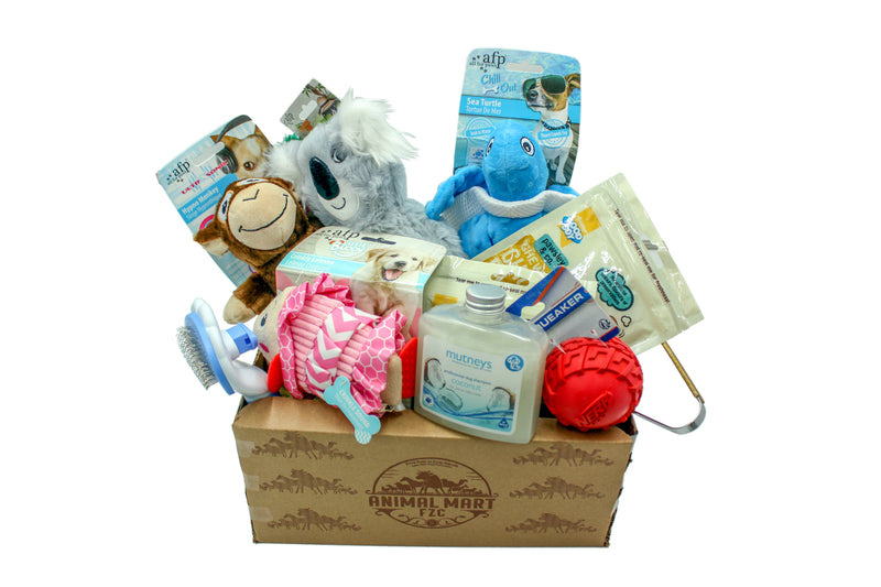 Goody Box - Holiday Dog Toys, Treats & Accessories
