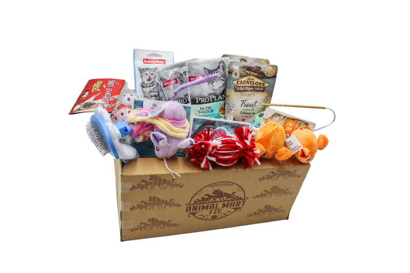 Goody Box - Holiday Cat Toys, Treats & Accessories