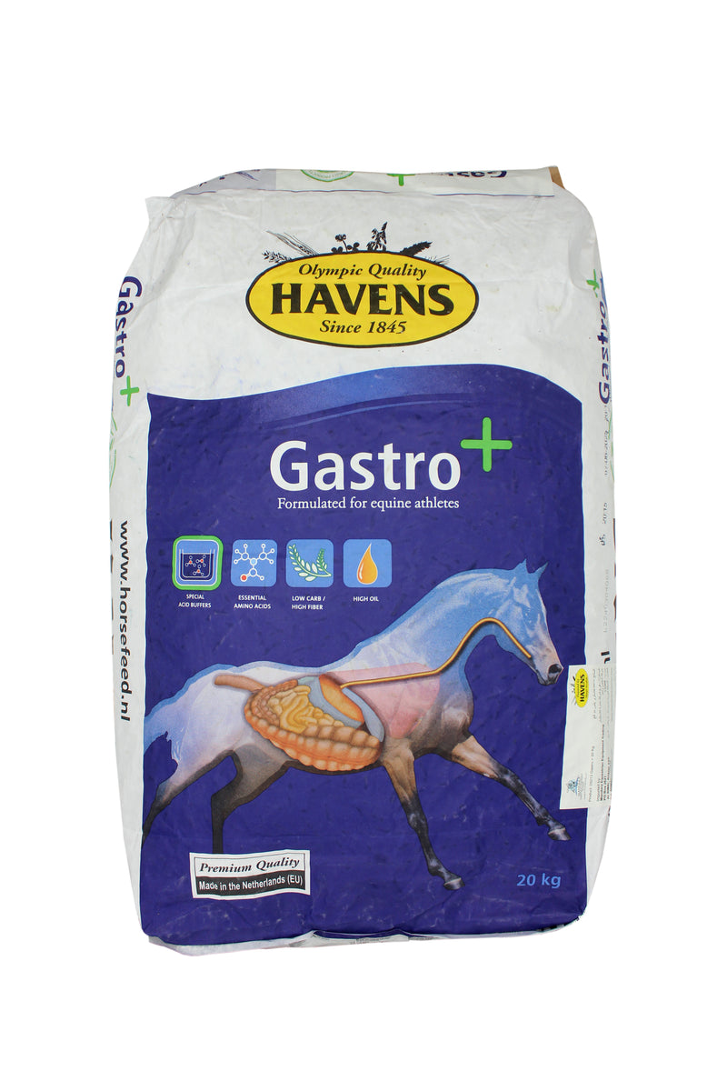 HAVENS GASTRO+ 20KG