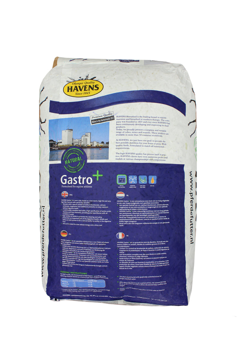 HAVENS GASTRO+ 20KG