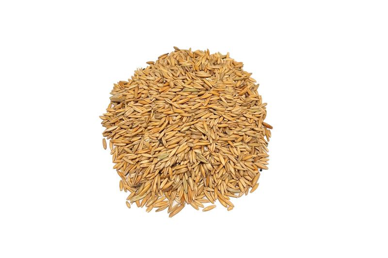 Whole Oats – Premium Grade Animal Feed