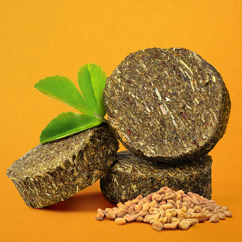 Longside Bonding Treats for Horses – Aromatic Fenugreek 500g