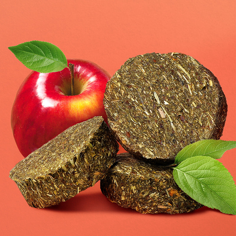 Longside Bonding Treats for Horses – Garden Apple 500g