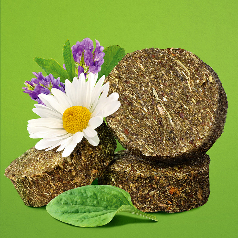 Longside Bonding Treats for Horses – Healthy Herbs 500g