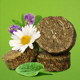 Longside Bonding Treats for Horses – Healthy Herbs 500g