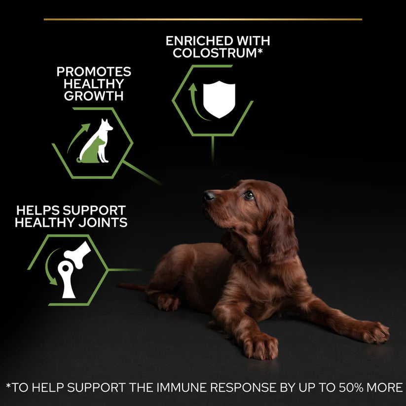 Pro Plan Large Athletic Puppy Chicken