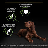 Pro Plan Large Athletic Puppy Chicken