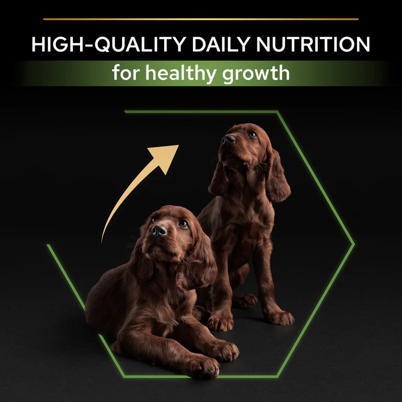 Pro Plan Large Athletic Puppy Chicken