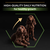 Pro Plan Large Athletic Puppy Chicken