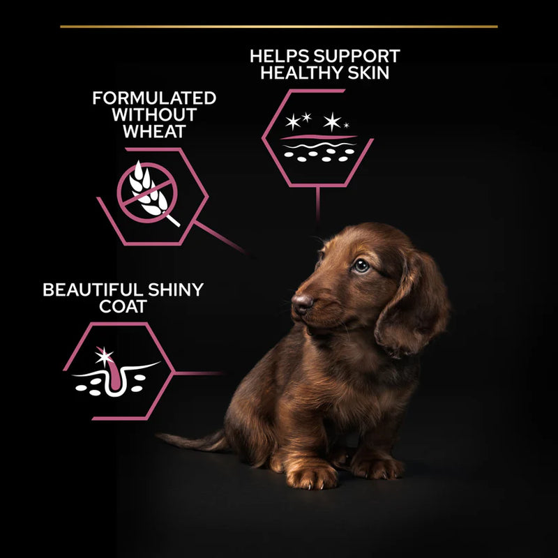 Pro Plan Small & Mini Puppy Sensitive Skin Salmon 3kg