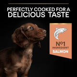 Pro Plan Small & Mini Puppy Sensitive Skin Salmon 3kg