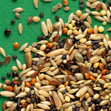 RIO Daily food for Wild Birds 500g
