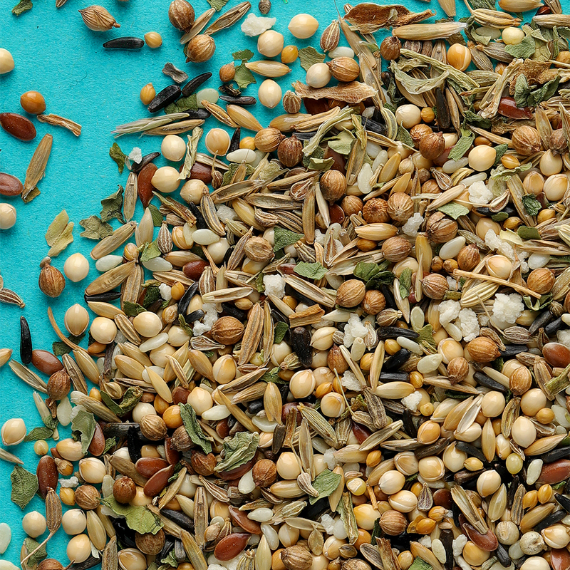RIO Healthy Seeds Natural treat for all birds 240g