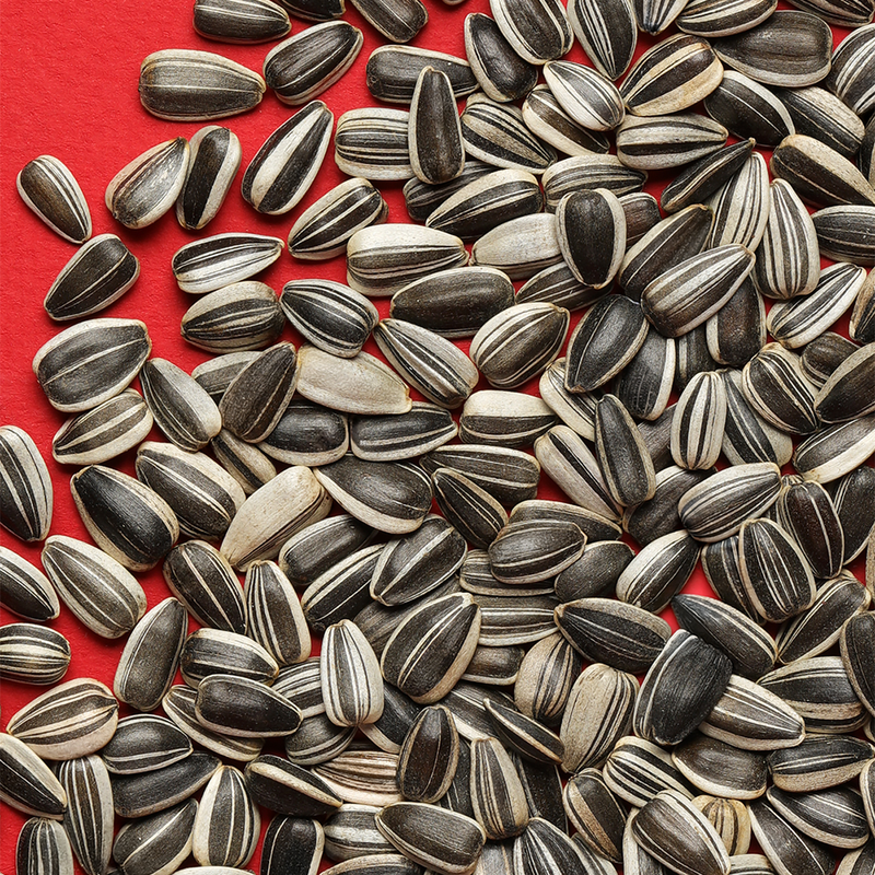 RIO Sunflower seeds 1kg