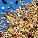 RIO Wild Seeds Mix Natural treat for all birds 240g