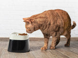 Savic Ergonomic Cube Food Cat Bowl