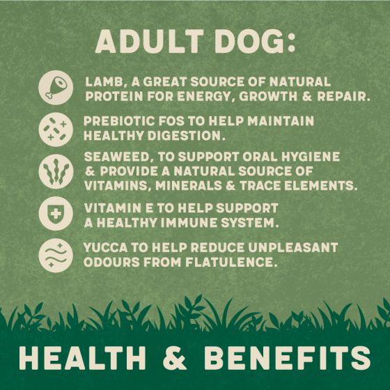 Harringtons Complete Lamb & Rice Adult Dry Dog Food