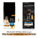 Pro Plan Large Robust Adult Dog Chicken 14kg