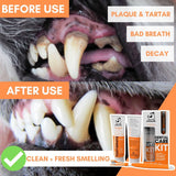 DogsLife Dog Dental Care Kit