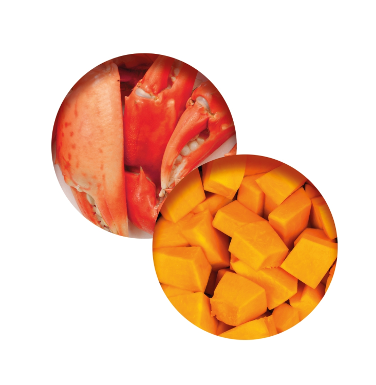 Catit Fish Dinner, Crab Flavour & Pumpkin 80g - 6pcs