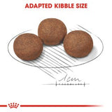 Size Health Nutrition Medium Puppy