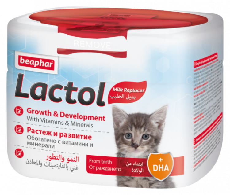 Lactol Kitten