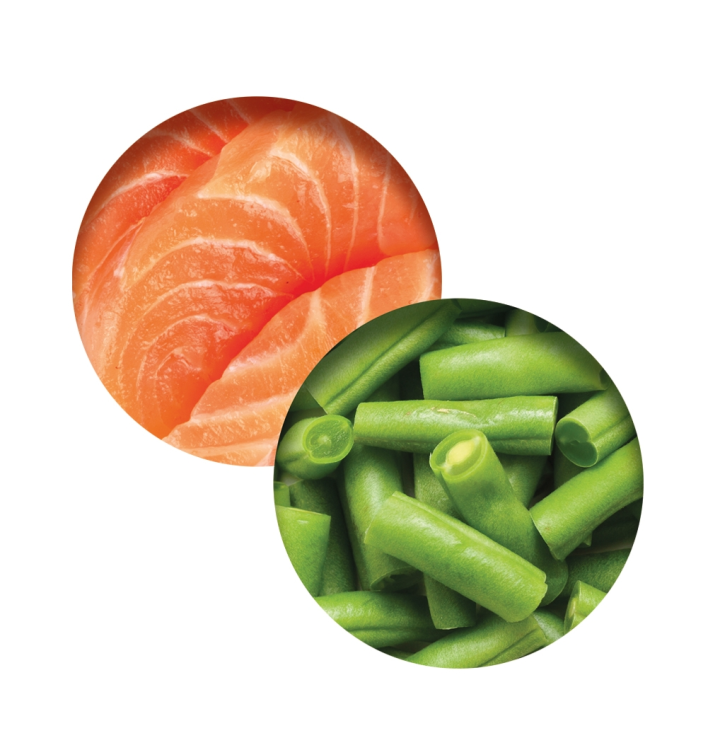 Catit Fish Dinner, Salmon & Green Beans 80g - 6pcs