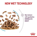Feline Health Nutrition Sensory Feel Gravy (WET FOOD - POUCHES) 12 x 85g