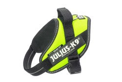IDC Powerharness - Neon Green  Size Mini