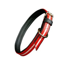 IDC Lumino Collar - Red  Width 2.5 cm & Length 50 cm