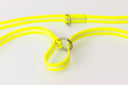 IDC Lumino Adjustable Leash - Sun  Width 1.9 cm & Length 2.2 Meter