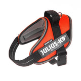 IDC POWAIR harness, Size: M, orange