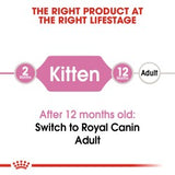 Feline Health Nutrition Kitten