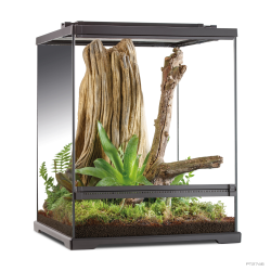 Exo Terra Dart Frog Terrarium Amphibian Habitat 45x45x60 cm