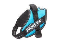 IDC Powerharness - Aquamarine  Size Mini