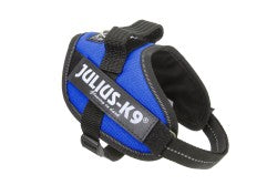 IDC Powerharness - Blue  Size Mini-Mini